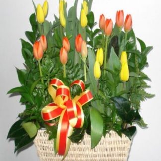 TULIPANES Y GERBERA – SKU282